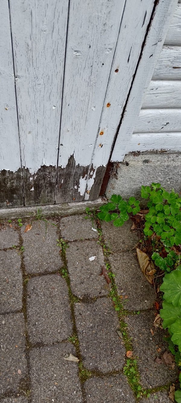 Male garage udvendigt