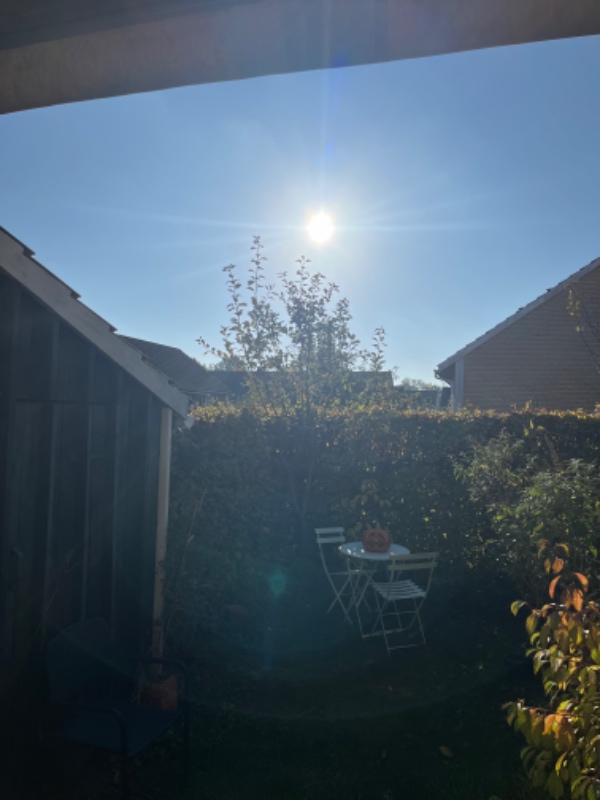 KLIP TOP AF TO TRÆER