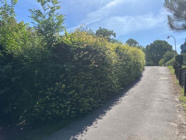 Klippet ca 100m hæk