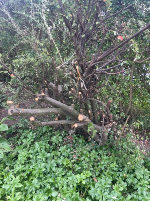 Nedgravning af trampolin