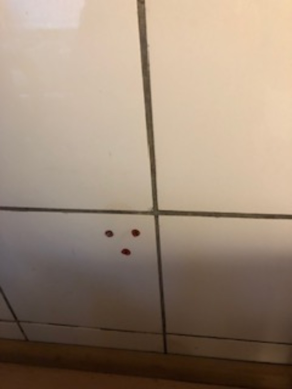 Udskiftning af ca. 10 ødelagte vægfliser 15x15 cm i køkken.