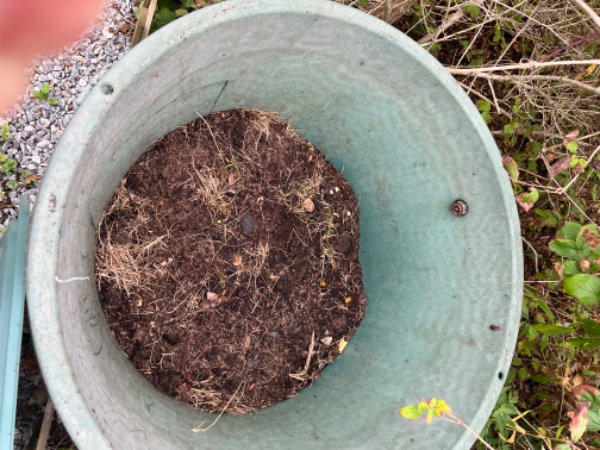 Bortførsel af haveaffald