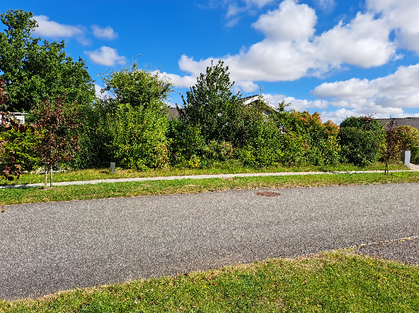 Opsætning af trådhegn