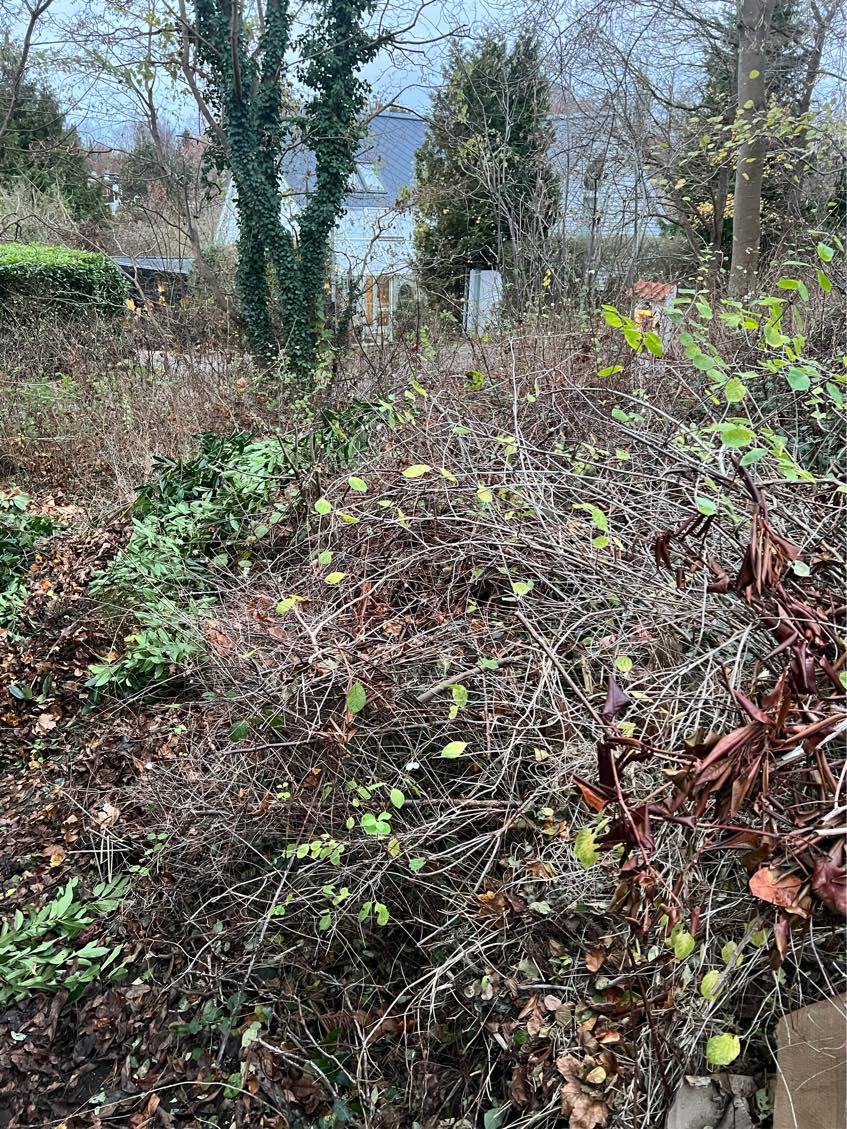 Bortkørsel af haveaffald