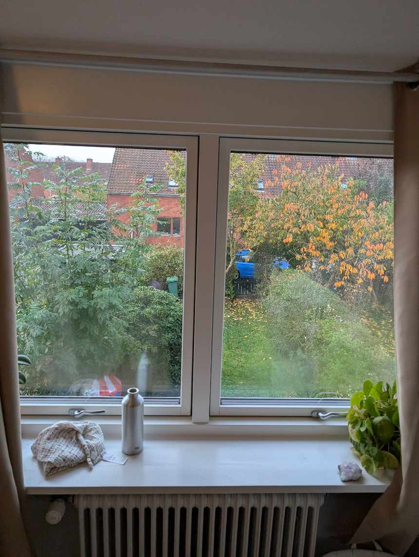 Vinduespudsning indvendig og udvendig