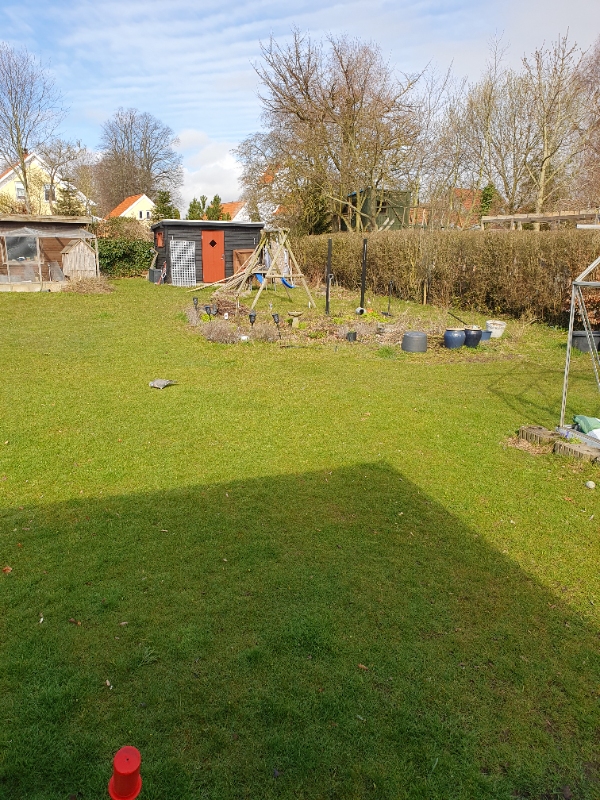 Oprydning i haven. Afretning af kanter og lugning. Hækklip. Grave gamle små hækplanter op. Jævne ærtindkørsel