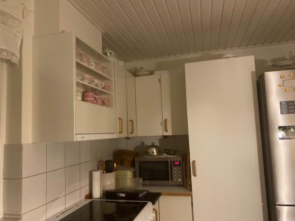 Fjerne træloft og opsætte gipsloft