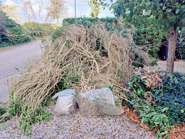 afhentning af haveaffald