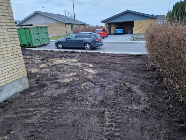 Anlæg af græsplæne