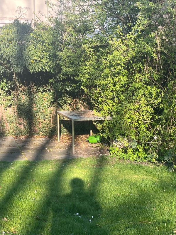 Bortskaffelse af møbler og trampolin