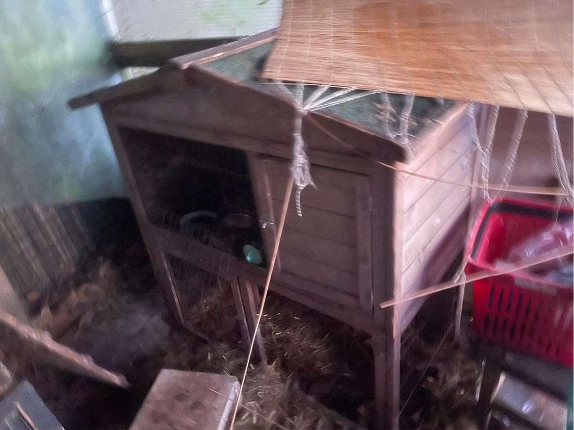 Hjælp til at flytte pallemøbler, 2 frysere, 1 lille shelter, nogle mindre og et stort kaninbur + diverse