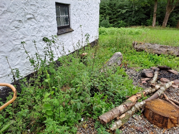 Ukrudt og rive grus.