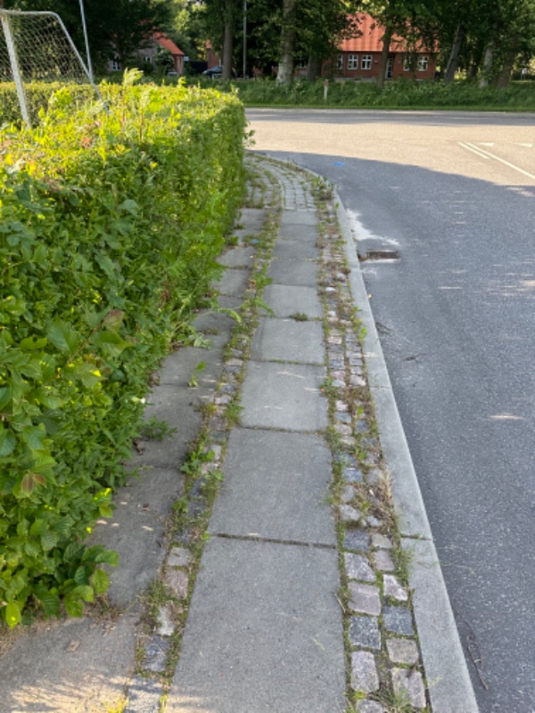 Rydning af ukrudt på fortov