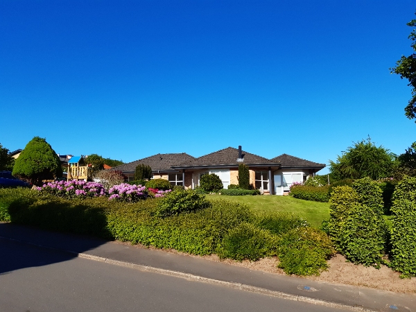 Havearbejde: hækklipning og ukrudtsfjernelse