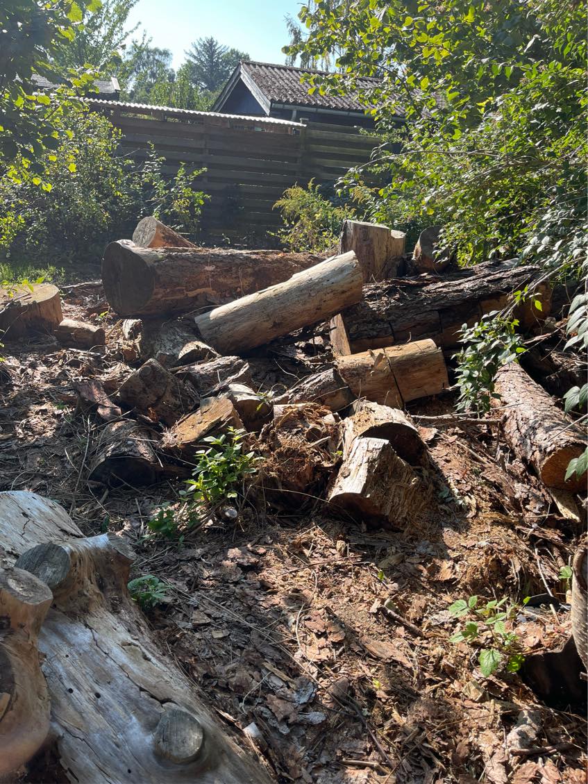 Hjælp til at få savet en masse brænde.