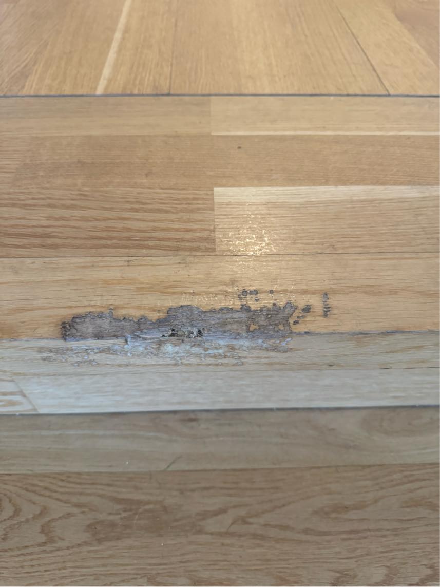 Hul i træppe og panel