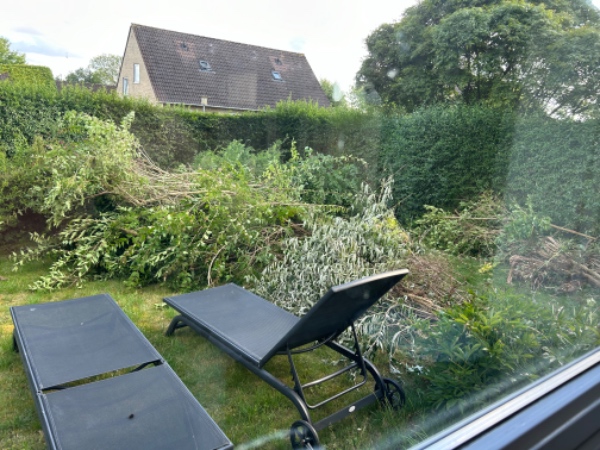 Fjernelse af grene og rødder