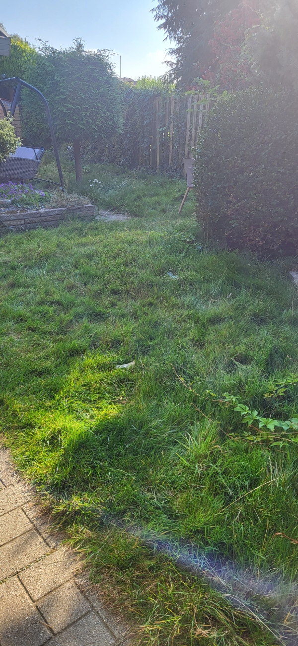 slå græs. lidt trimning. bortskaffelse.