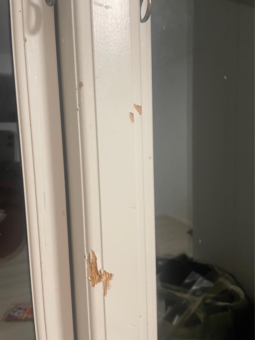 Reparation af træ vinduer og døre efter hundebidderi