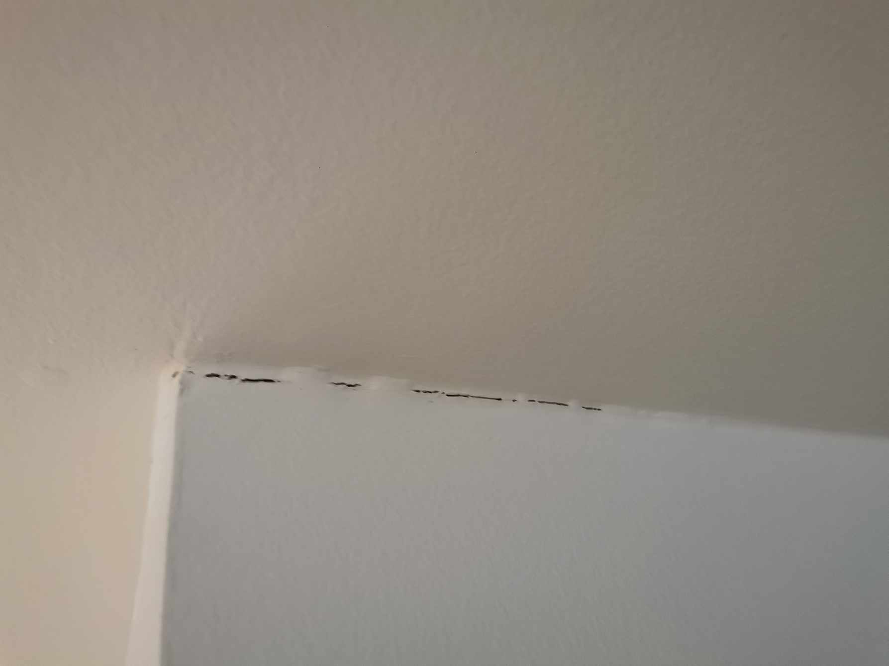 Fjerne gamle fuger ved vægkant og loft kant samt nye flotte og holdbare fuger