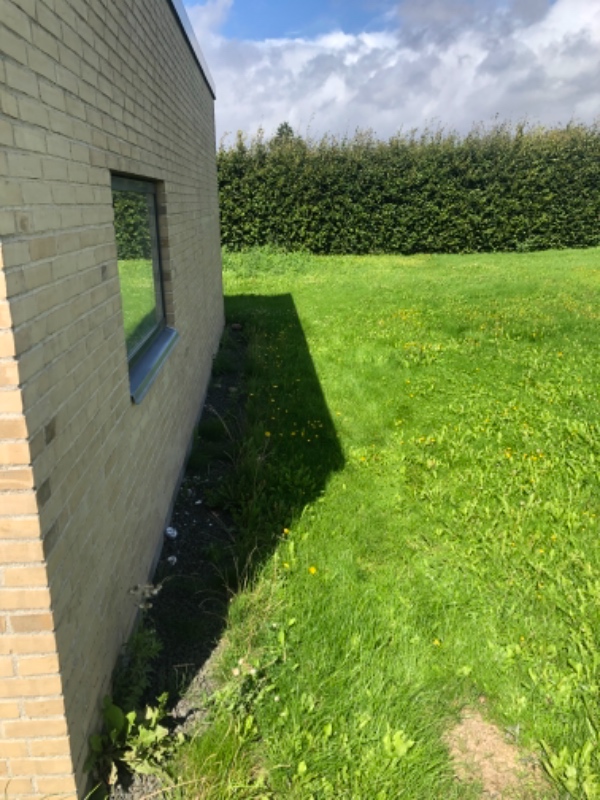 Græs, hæk, ukrudt, fliser.