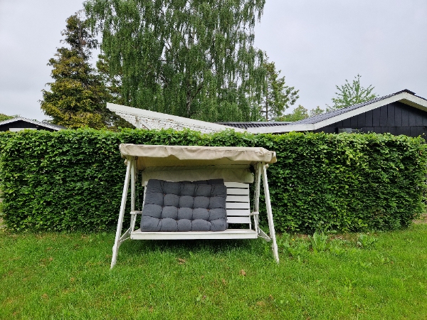 Bøgehæk fjernelse og bortskaffelse