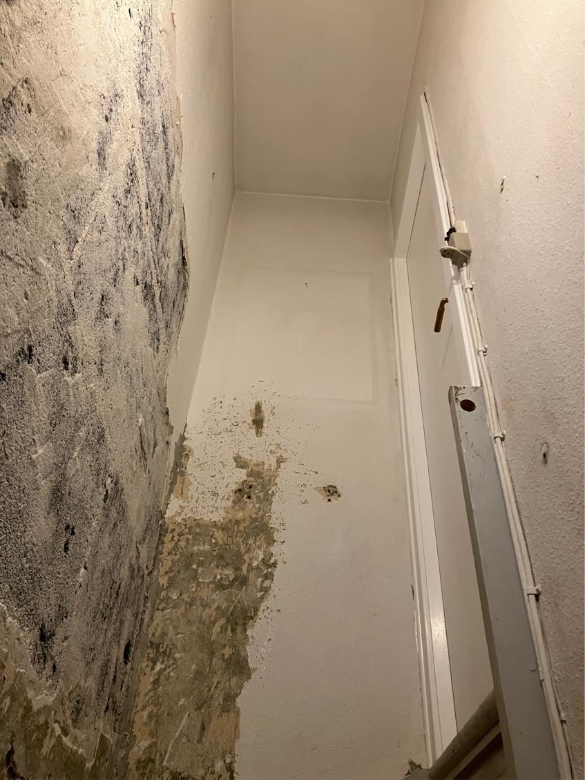 Renovering af kældernedgang