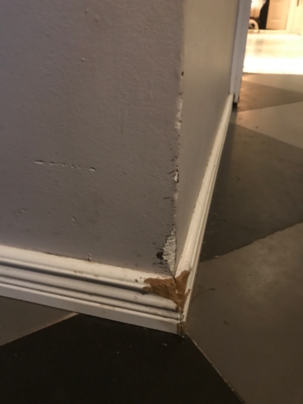 Fodpanel skiftet ca 2 m i alt og væg skal ha’ dækket et hul; begge dele pga hvalpe der har bidt hul