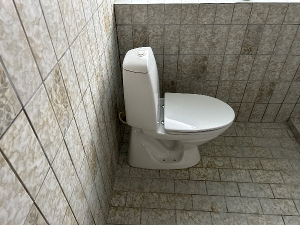 Fjern toilet asap