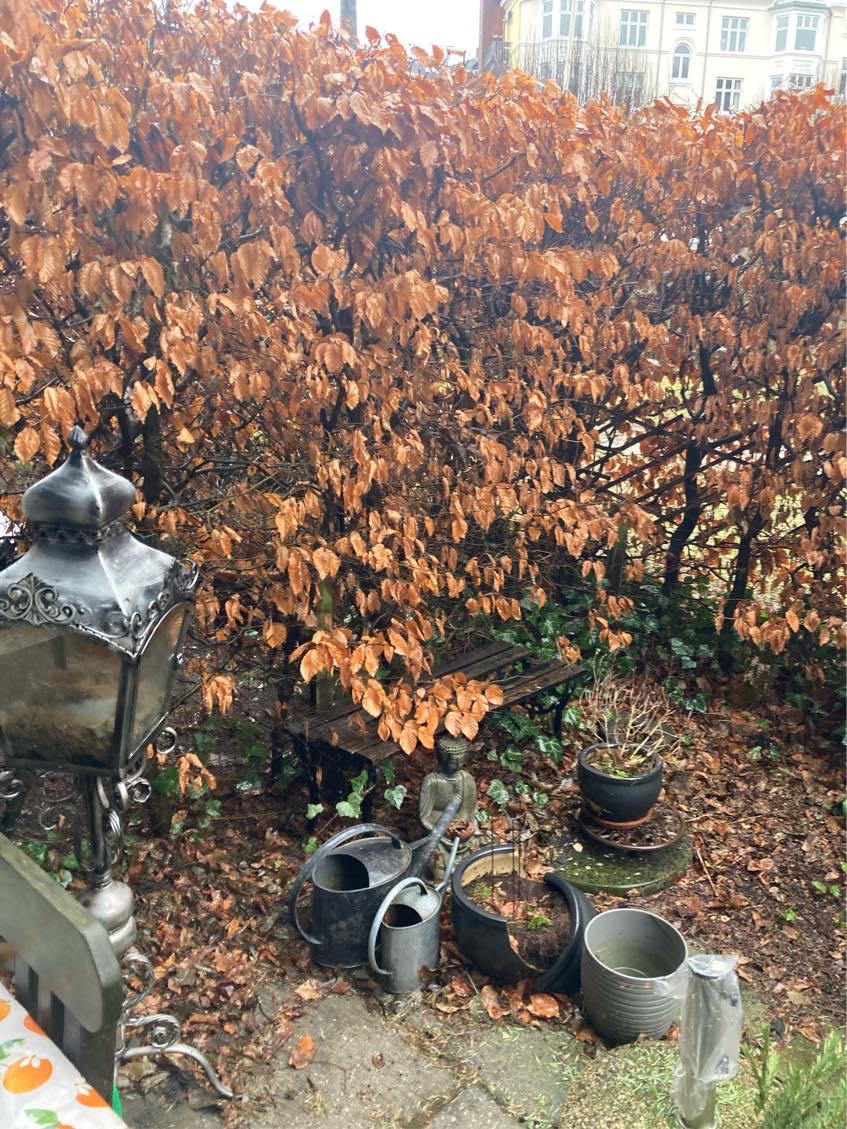 Ordne have, der skal graves noger rødder op, der strækker sig fra buskene og har løftet fliser. Fliserne sksl så lægges på igen og måske lidt beplantning.
