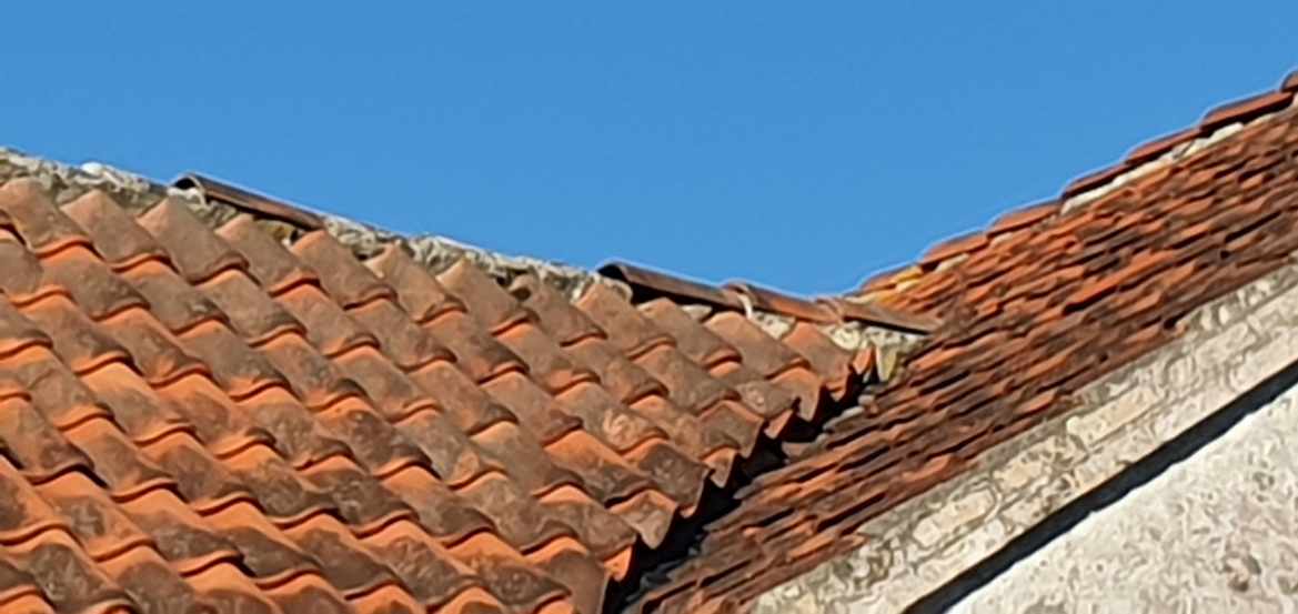 VVS’er eller BLIKKENSLAGER til Skotrender