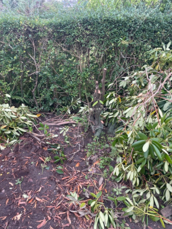 Nedgravning af trampolin