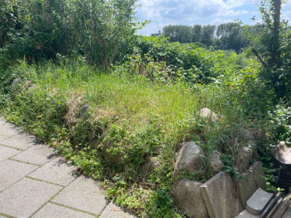 Rydning af bed med kampesten