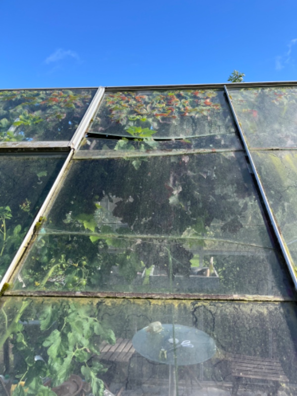 Nye glas i et drivhus