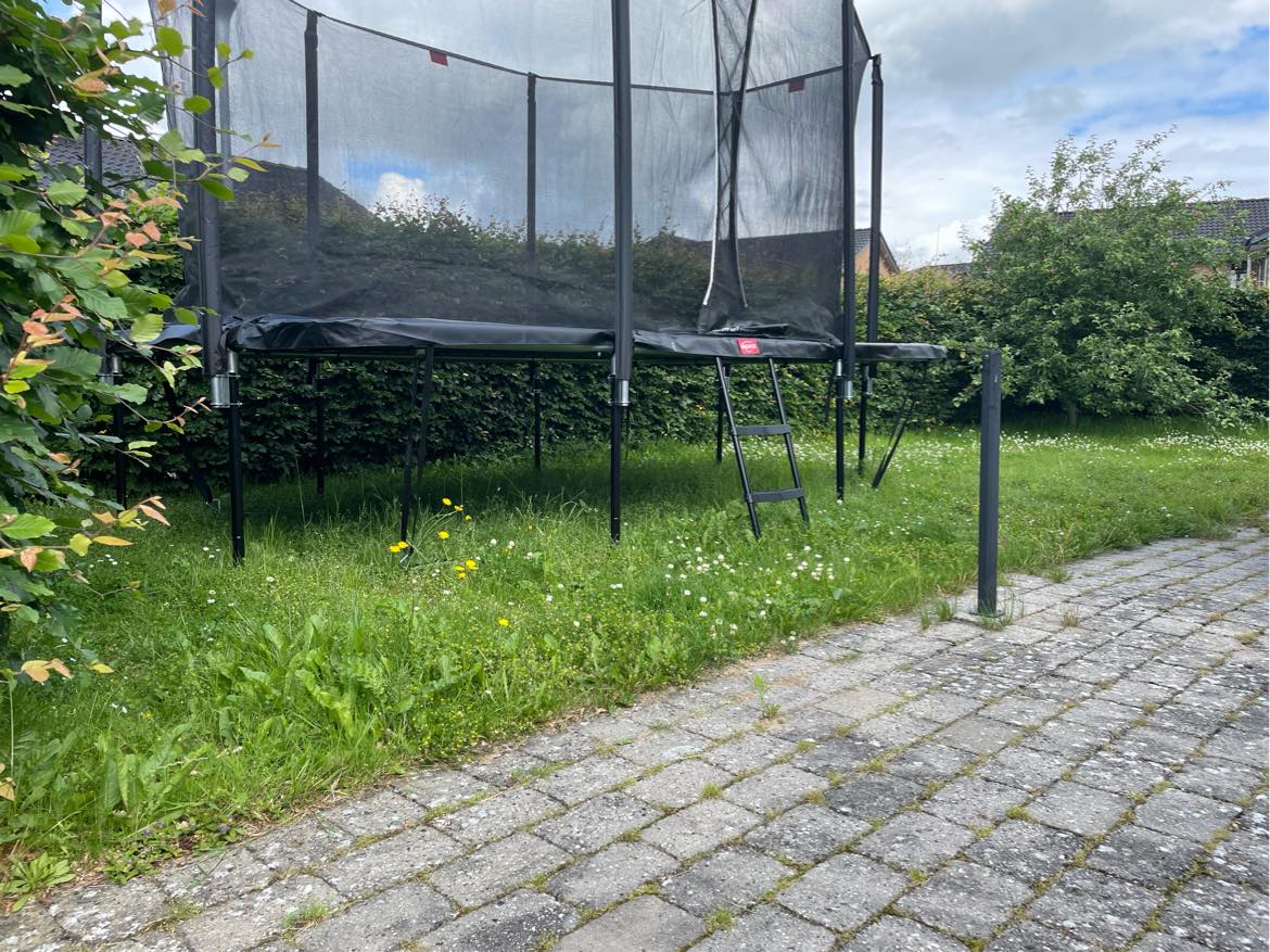Slå græs