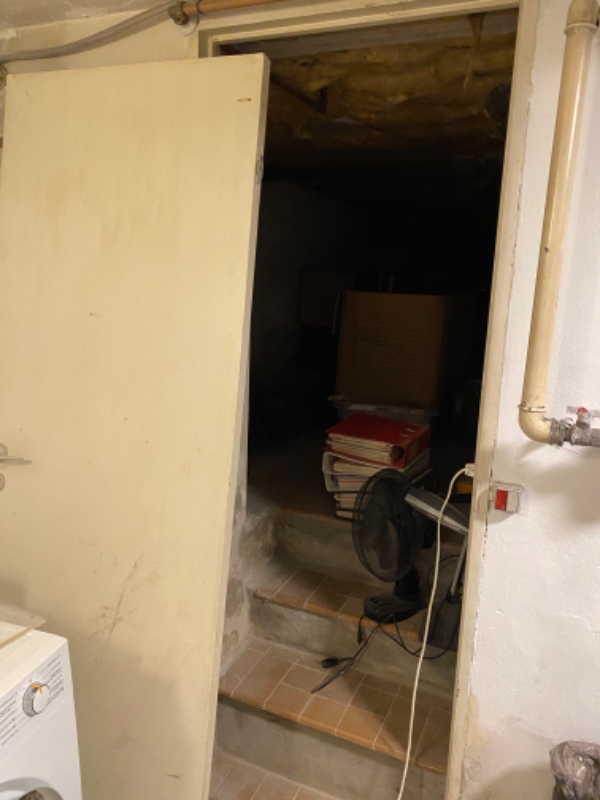 Rep. af træværk 2 vinduer og ny dør i kælder.