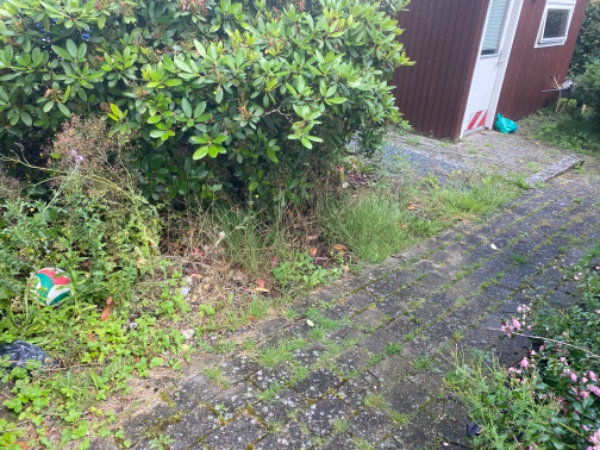 Fjernelse af ukrudt rundt om hus