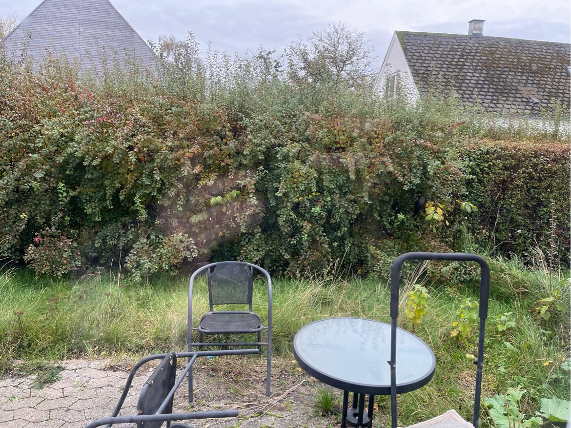 Klip af hæk på indvendig side samt græsslåning