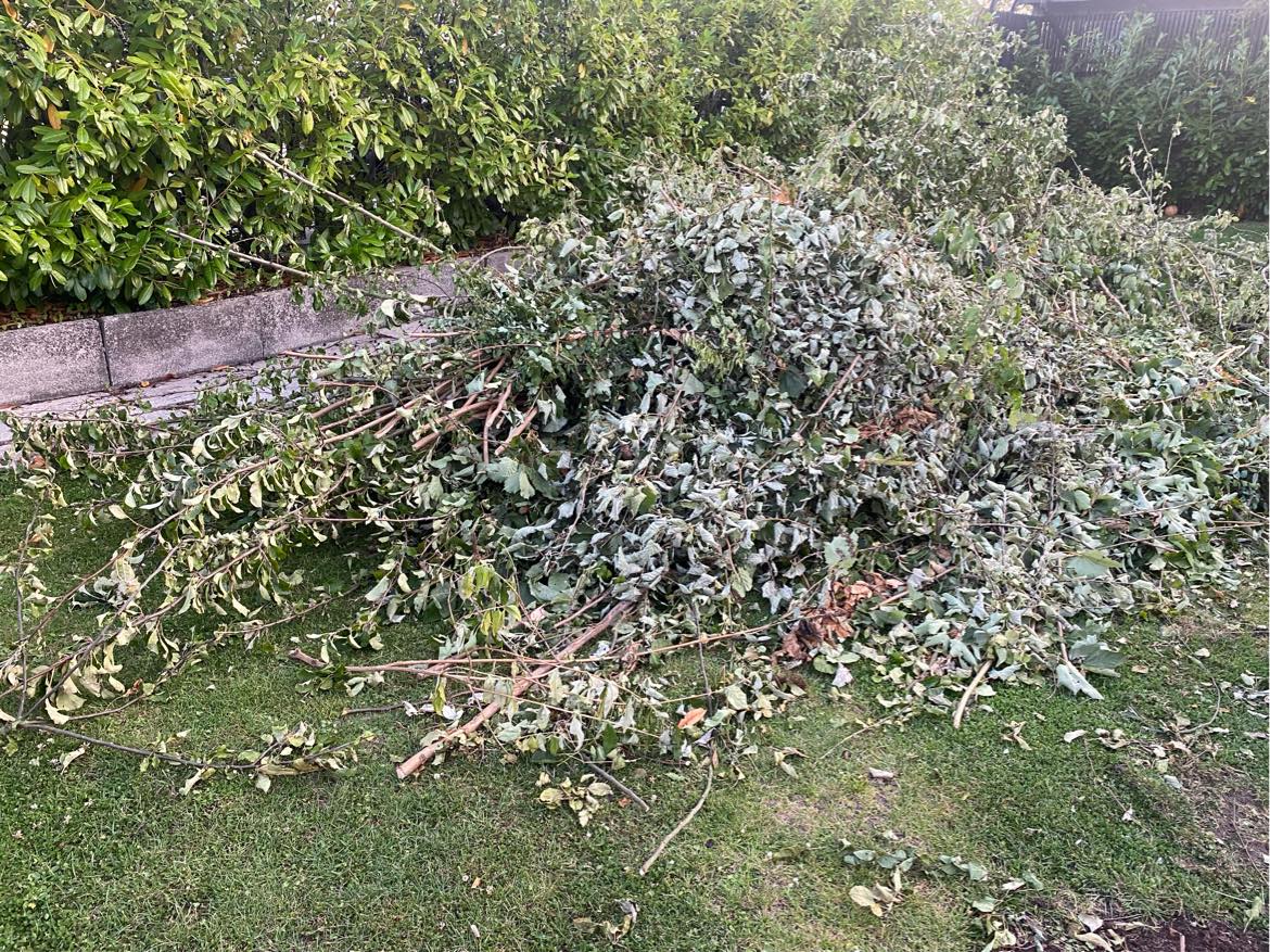 Bortskaffelse af haveaffald