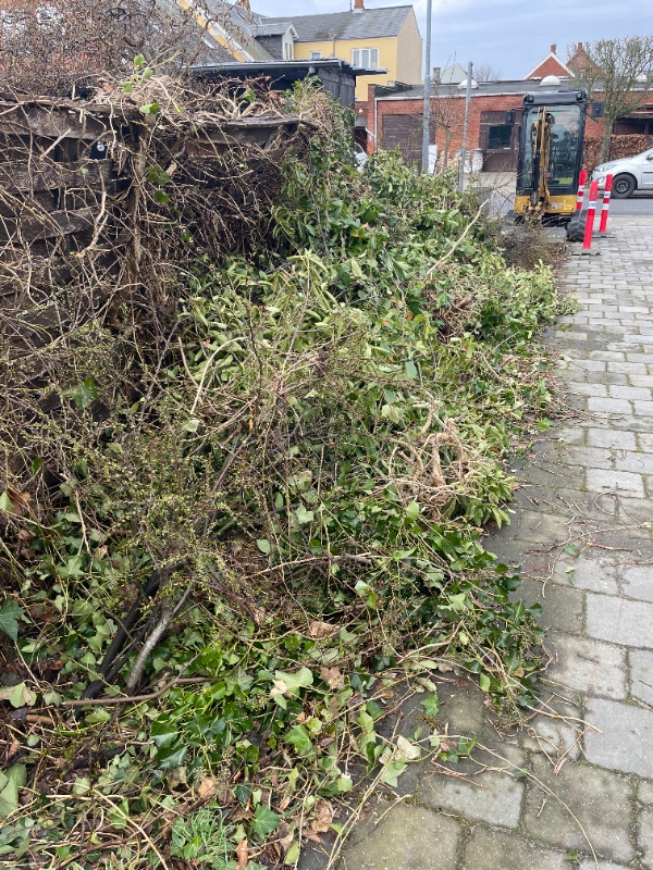 Haveaffald kørsel til genbrugsplads