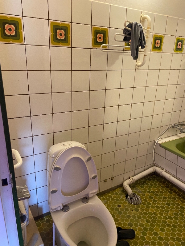 toilet renovation  all