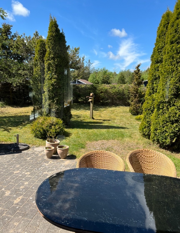 Fjernelse af Mos i græsplæne