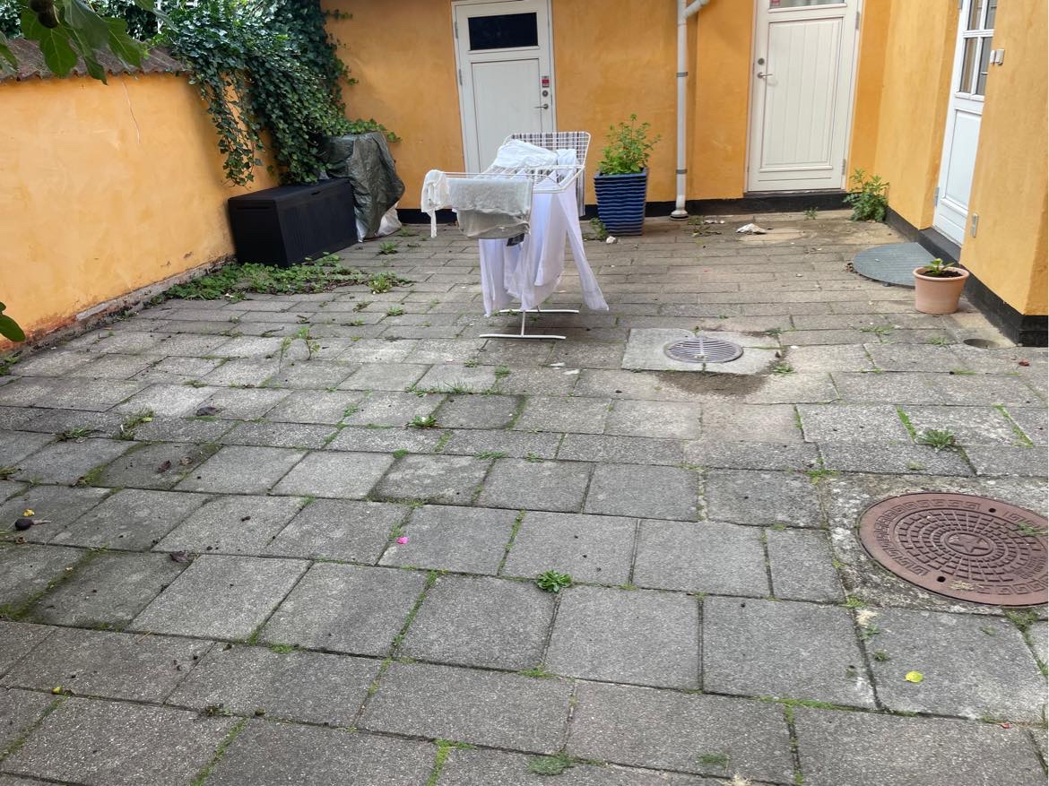 Feje og ukrudtfjernelse udendørs