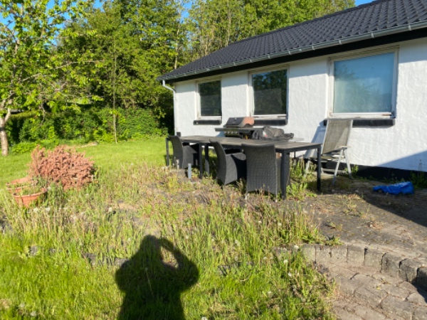 Fjernelse af ukrudt og terrasse