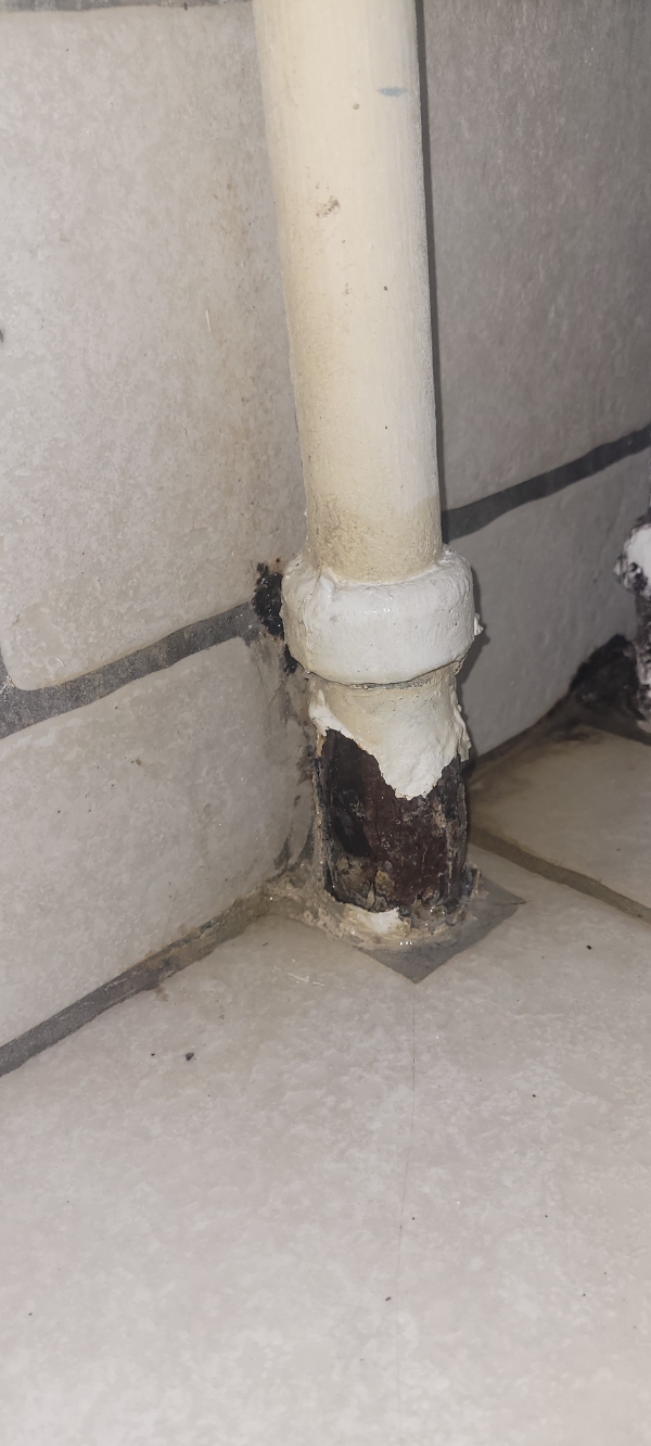 badeværelsesrør (bruser og vandrør til toilet) skal skiftes.