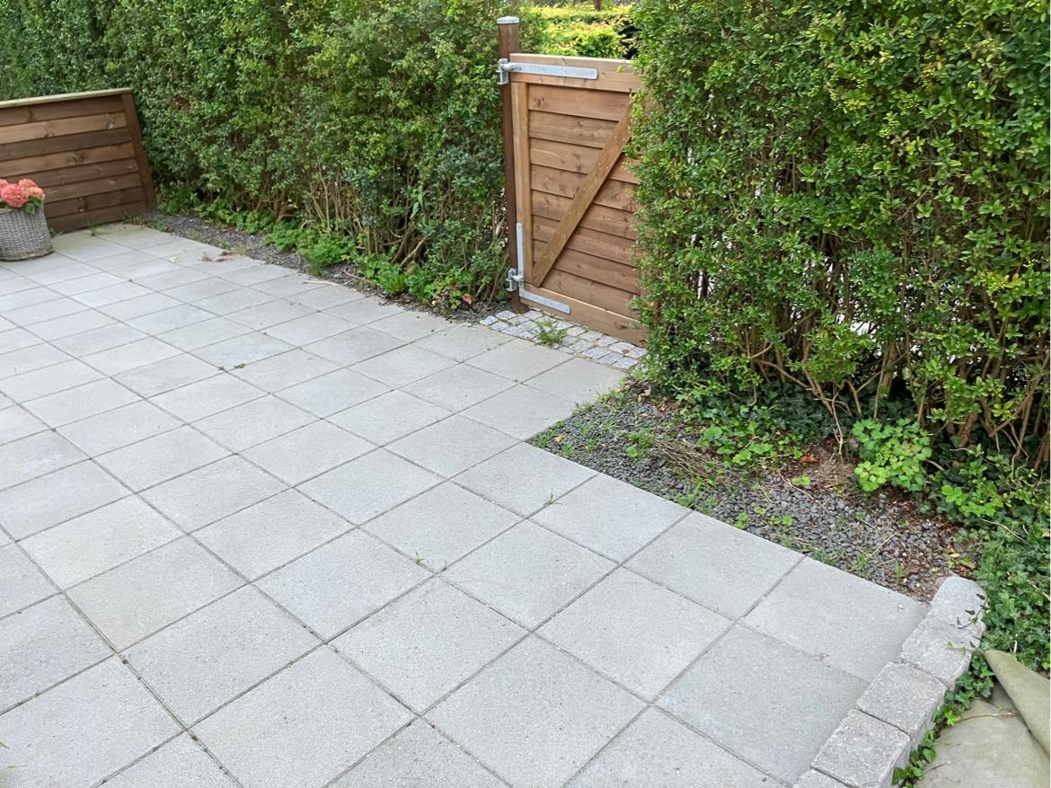 Fjerne ukrudt i hæk og indkørsel