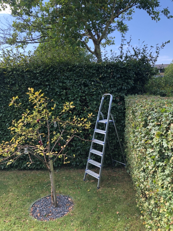 Beskære top og bredde af 10m. hæk