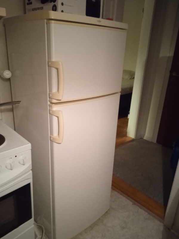 Bære køle-fryseskab ned og køre det på lossepladsen