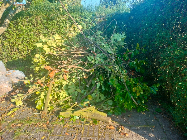 Afhentning af 6 bunker haveaffald.