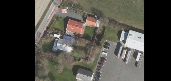 Overgroet forhave og baghave